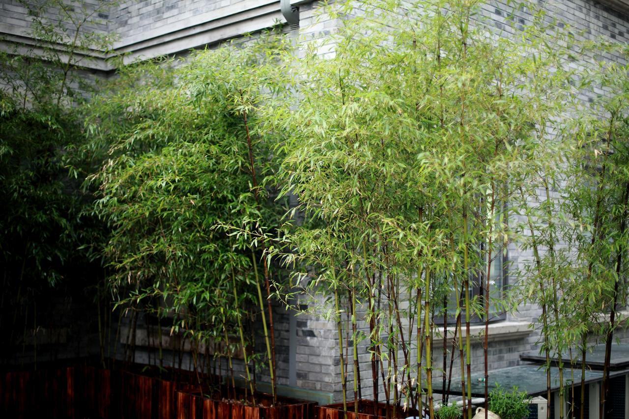 Study Resort Ningbo Extérieur photo